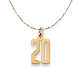 14k Yellow Gold, Alumni Small Elongated Number 20 Necklace