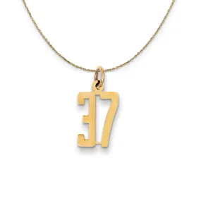 14k Yellow Gold, Alumni Small Elongated Number 37 Necklace