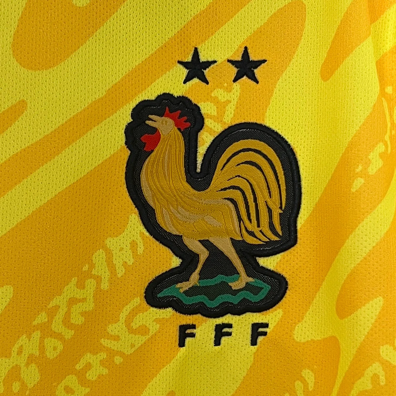 Francia Portiere - 2024